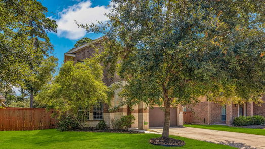 Houston 2-story, 4-bed 13612 Palo Lake Lane-idx