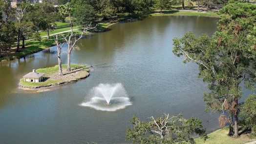 Houston 2-story, 4-bed 14522 Southern Magnolia Circle-idx