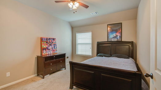 Houston 2-story, 4-bed 17006 Shannon Lake Court-idx