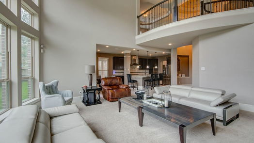 Houston 2-story, 4-bed 17006 Shannon Lake Court-idx