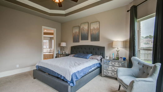 Houston 2-story, 4-bed 17006 Shannon Lake Court-idx