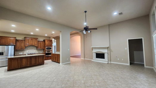 Houston 1-story, 4-bed 13722 Playa Lucia Court-idx