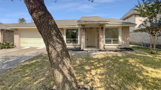 Houston 1-story, 3-bed 12039 Drummond Park Drive-idx