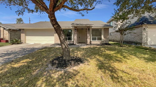 Houston 1-story, 3-bed 12039 Drummond Park Drive-idx