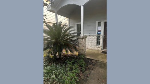 Houston 2-story, 4-bed 12906 Pecan Shores Drive-idx