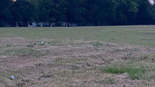 Houston null-story, null-bed 0 Ambrose Street-idx