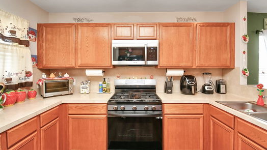 Houston 2-story, 3-bed 2707 Sockeye Drive-idx