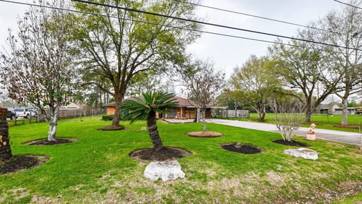 Houston 1-story, 3-bed 13906 Regg Drive-idx