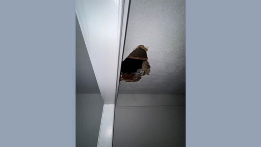 Houston null-story, 3-bed 4110 Beran Drive-idx