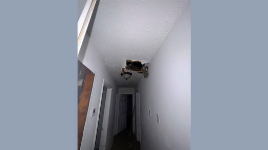 Houston null-story, 3-bed 4110 Beran Drive-idx