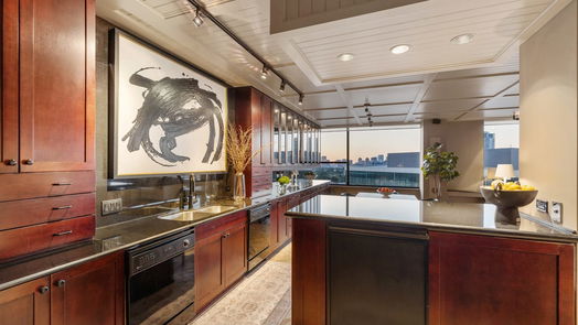 Houston null-story, 2-bed 14 Greenway Plaza 18RM-idx