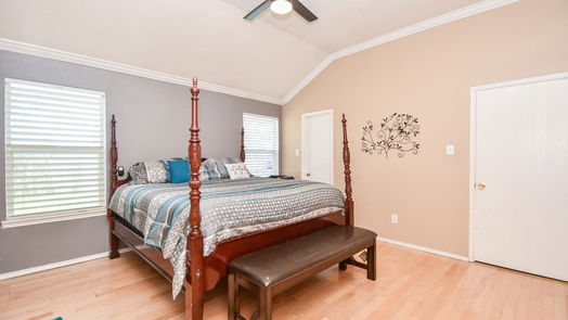Houston 2-story, 4-bed 4227 Heritage Trail Drive-idx