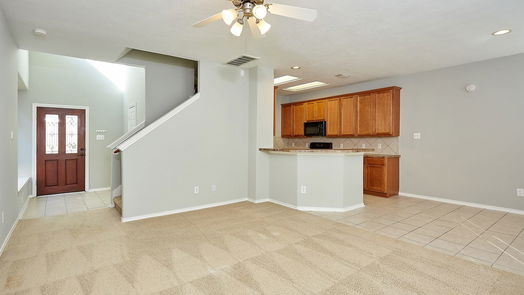 Houston 2-story, 3-bed 14423 Birch Knoll Lane-idx