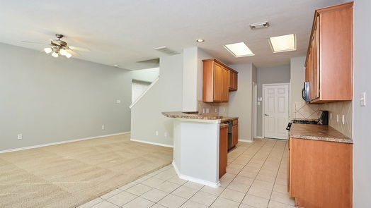 Houston 2-story, 3-bed 14423 Birch Knoll Lane-idx