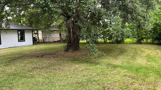 Houston 1-story, 4-bed 1206 Canterview Drive-idx