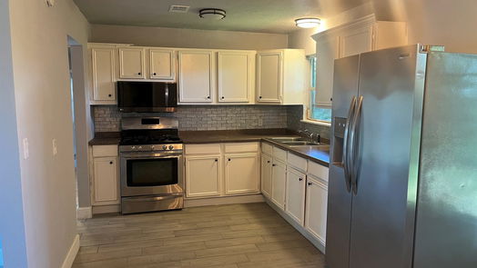 Houston 1-story, 4-bed 1206 Canterview Drive-idx