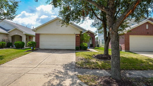 Houston 1-story, 3-bed 906 Blanchard Hill Lane-idx