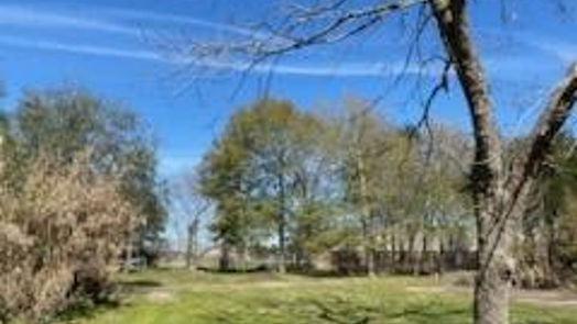 Houston null-story, null-bed 4703 Lincolnshire Road-idx