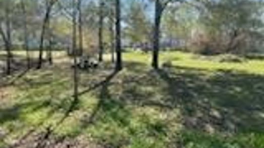 Houston null-story, null-bed 4703 Lincolnshire Road-idx