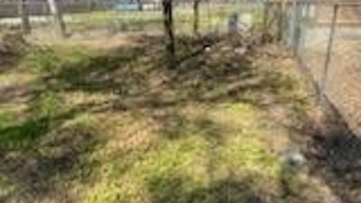 Houston null-story, null-bed 4703 Lincolnshire Road-idx