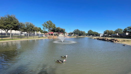 Houston 1-story, 3-bed 6922 Rustic Pecan Lane-idx
