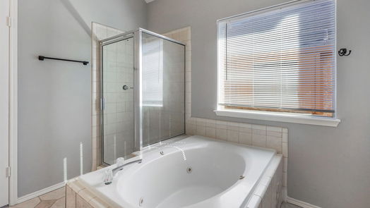 Houston 2-story, 5-bed 14311 Beau Harp Drive-idx