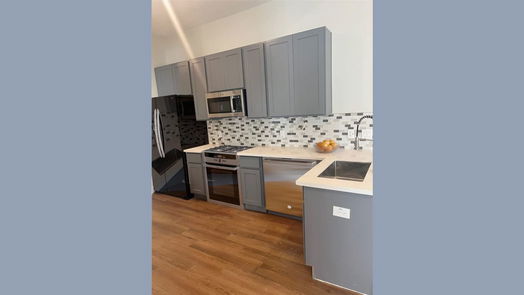 Houston 1-story, 3-bed 4510 Mallow Street-idx