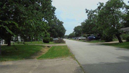 Houston 1-story, 3-bed 10514 Cathedral Drive-idx