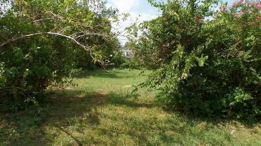Houston null-story, null-bed 4657 Phlox Street-idx