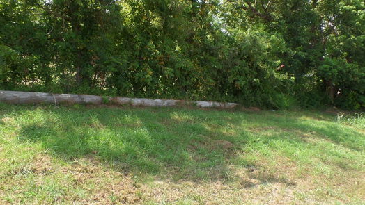 Houston null-story, null-bed 4657 Phlox Street-idx