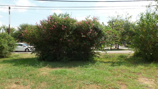 Houston null-story, null-bed 4657 Phlox Street-idx