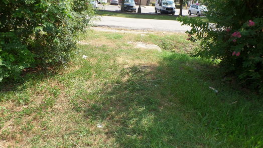 Houston null-story, null-bed 4657 Phlox Street-idx