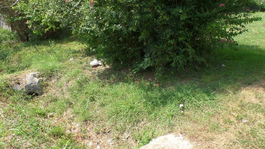 Houston null-story, null-bed 4657 Phlox Street-idx