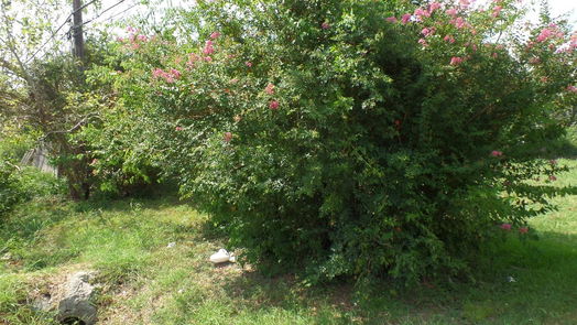 Houston null-story, null-bed 4657 Phlox Street-idx