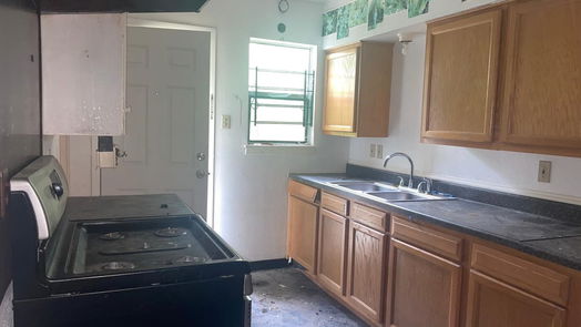 Houston 1-story, 4-bed 10309 Fairland Drive-idx