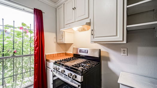 Houston 1-story, 2-bed 16533 Gold Ridge Lane-idx