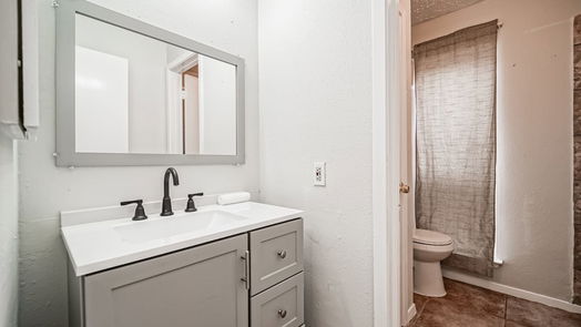 Houston 1-story, 2-bed 16533 Gold Ridge Lane-idx