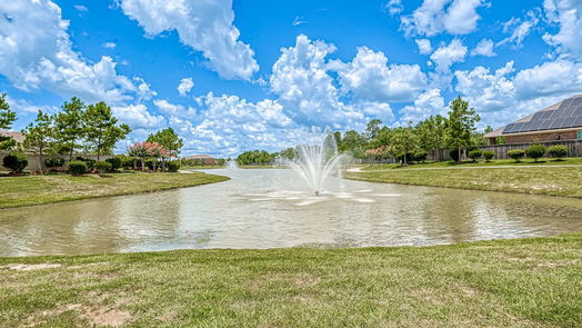 Houston 2-story, 4-bed 16019 Diamond Ridge Drive-idx