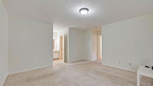 Houston 2-story, 4-bed 16131 Canaridge Dr-idx