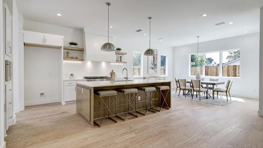 Houston 2-story, 5-bed 6401 Teluco Street-idx