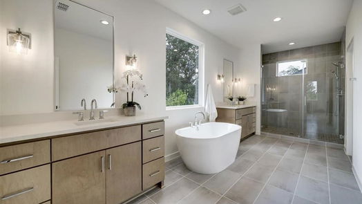 Houston 2-story, 5-bed 6401 Teluco Street-idx
