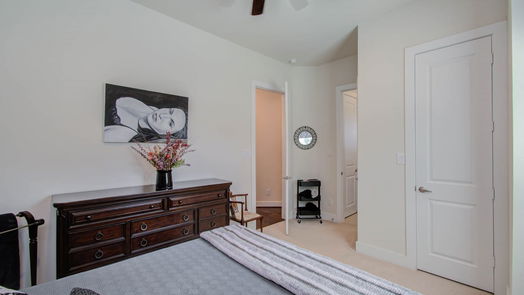 Houston 3-story, 3-bed 1209 Cedarpost Tree Springs Place-idx