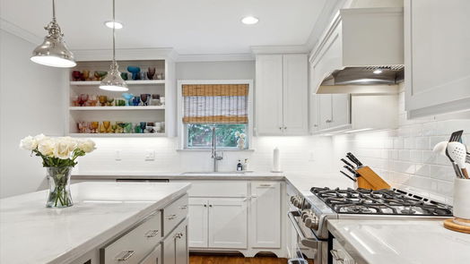 Houston 1-story, 3-bed 7015 Shavelson Street-idx