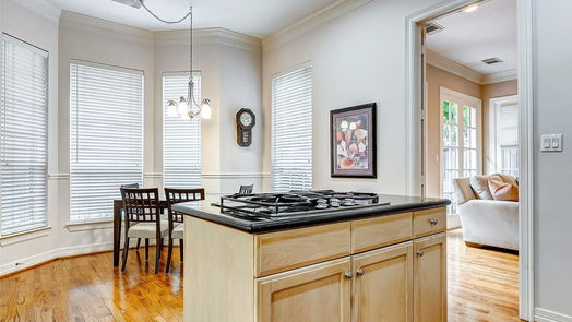 Houston 3-story, 3-bed 5206 Sagesquare Street-idx