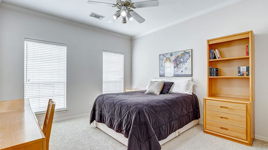 Houston 3-story, 3-bed 5206 Sagesquare Street-idx