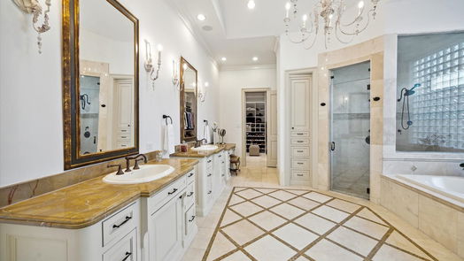 Houston 2-story, 5-bed 259 Pine Hollow Lane-idx