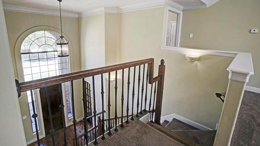 Houston 2-story, 4-bed 6231 Locke Lane-idx