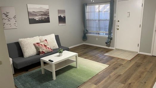 Houston null-story, 1-bed 1223 Augusta Drive 33-idx