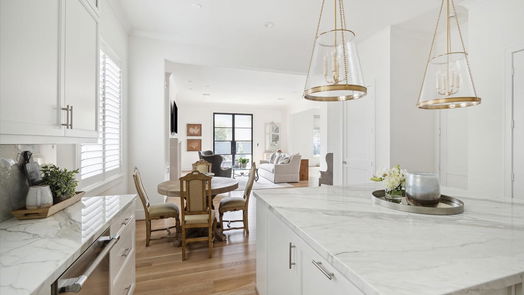 Houston 3-story, 4-bed 1207 Nantucket Drive-idx