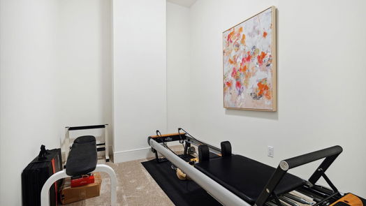 Houston 3-story, 4-bed 1207 Nantucket Drive-idx